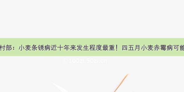 农业农村部：小麦条锈病近十年来发生程度最重！四五月小麦赤霉病可能大流行