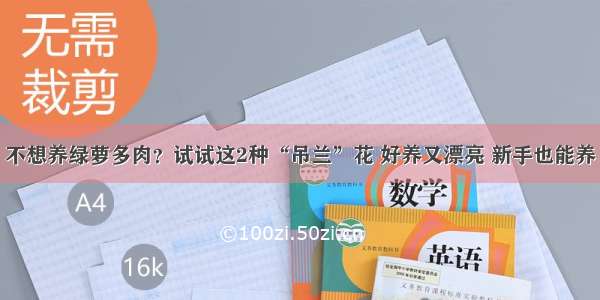 不想养绿萝多肉？试试这2种“吊兰”花 好养又漂亮 新手也能养