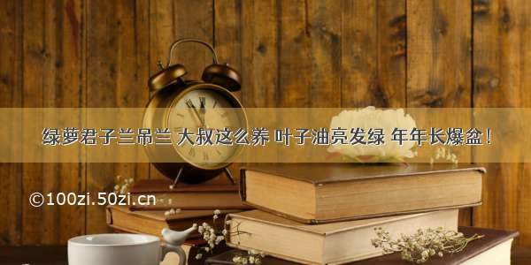 绿萝君子兰吊兰 大叔这么养 叶子油亮发绿 年年长爆盆！