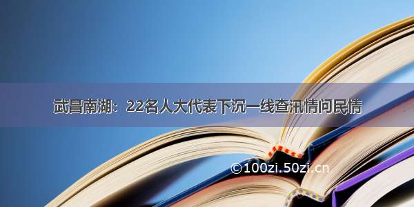 武昌南湖：22名人大代表下沉一线查汛情问民情