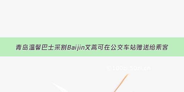 青岛温馨巴士采割Baijin艾蒿可在公交车站赠送给乘客