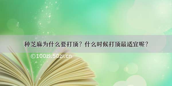 种芝麻为什么要打顶？什么时候打顶最适宜呢？