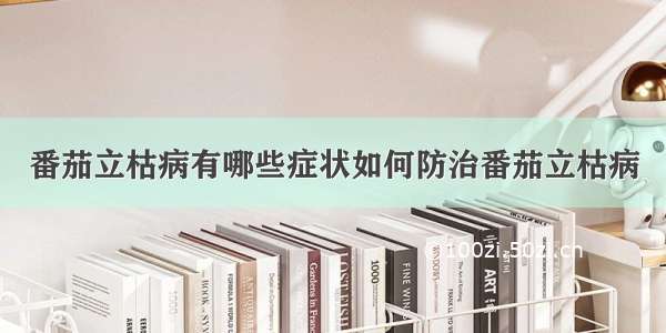 番茄立枯病有哪些症状如何防治番茄立枯病