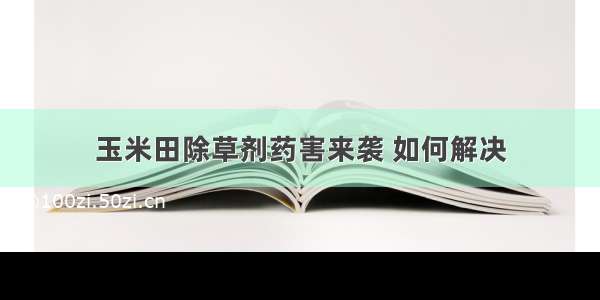 玉米田除草剂药害来袭 如何解决