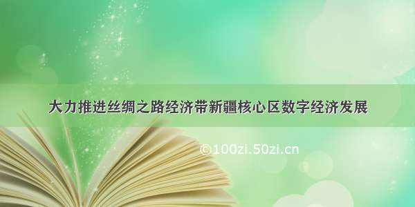 大力推进丝绸之路经济带新疆核心区数字经济发展