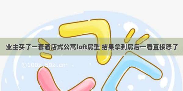 业主买了一套酒店式公寓loft房型 结果拿到房后一看直接怒了