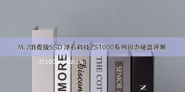 M.2消费级SSD 泽石科技ZS1000系列固态硬盘评测