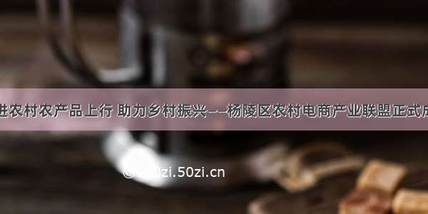 促进农村农产品上行 助力乡村振兴——杨陵区农村电商产业联盟正式成立