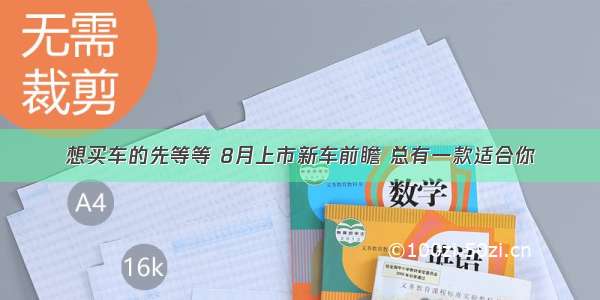 想买车的先等等 8月上市新车前瞻 总有一款适合你