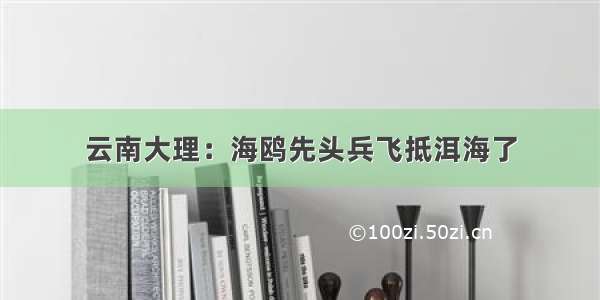 云南大理：海鸥先头兵飞抵洱海了