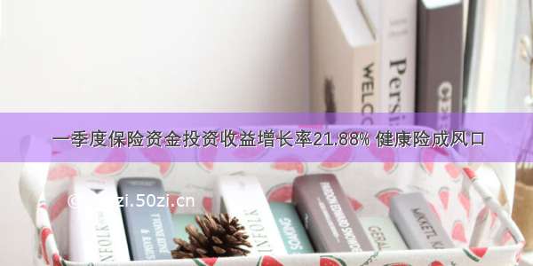 一季度保险资金投资收益增长率21.88% 健康险成风口