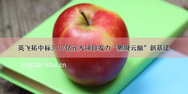 英飞拓中标3.17亿元大项目发力“鹏城云脑”新基建