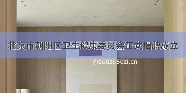 北京市朝阳区卫生健康委员会正式揭牌成立