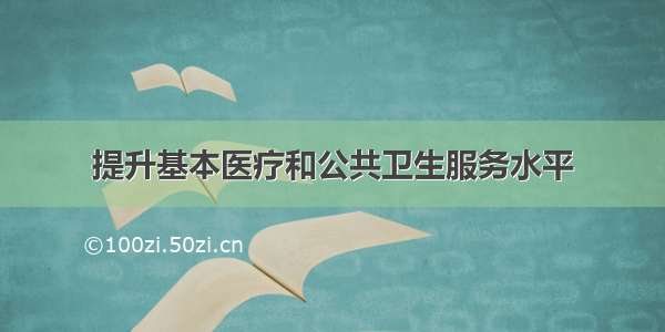 提升基本医疗和公共卫生服务水平