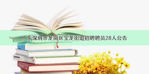 广东深圳市龙岗区宝龙街道招聘聘员28人公告