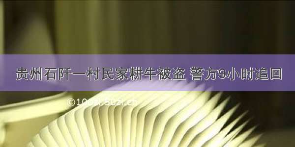 贵州石阡一村民家耕牛被盗 警方9小时追回