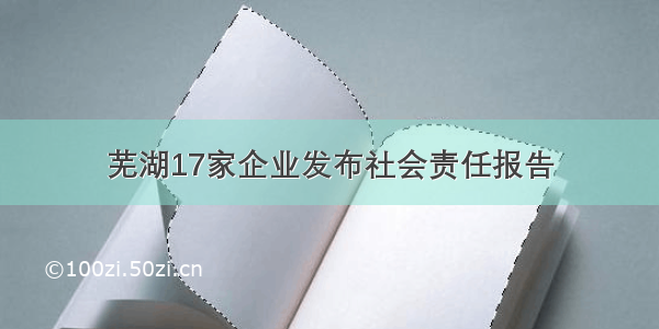 芜湖17家企业发布社会责任报告