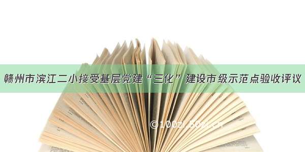 赣州市滨江二小接受基层党建“三化”建设市级示范点验收评议