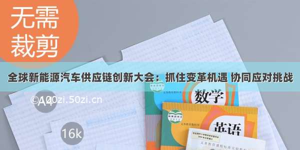 全球新能源汽车供应链创新大会：抓住变革机遇 协同应对挑战