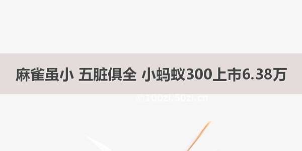 麻雀虽小 五脏俱全 小蚂蚁300上市6.38万