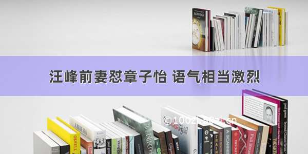 汪峰前妻怼章子怡 语气相当激烈