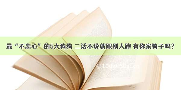 最“不忠心”的5大狗狗 二话不说就跟别人跑 有你家狗子吗？