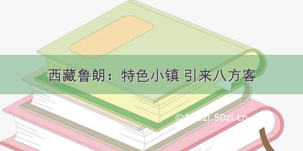 西藏鲁朗：特色小镇 引来八方客