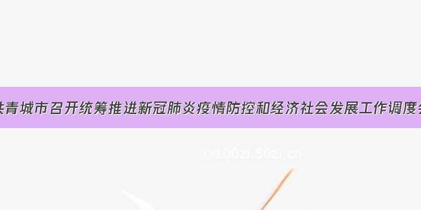 共青城市召开统筹推进新冠肺炎疫情防控和经济社会发展工作调度会