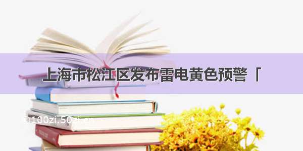 上海市松江区发布雷电黄色预警「