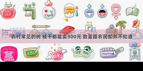 农村常见的树 枝干都能卖300元 致富路农民却并不知道