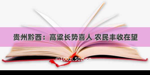 贵州黔西：高粱长势喜人 农民丰收在望