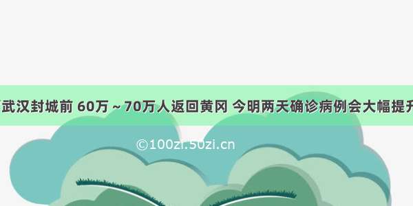 “武汉封城前 60万～70万人返回黄冈 今明两天确诊病例会大幅提升”