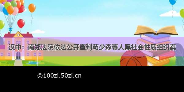 汉中：南郑法院依法公开宣判苟少森等人黑社会性质组织案