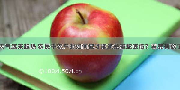 天气越来越热 农民干农户时如何做才能避免被蛇咬伤？看完有数了