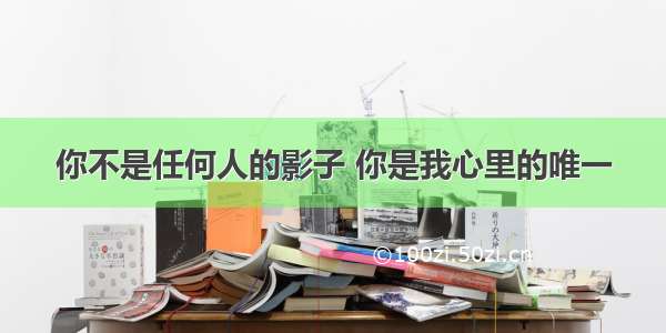 你不是任何人的影子 你是我心里的唯一