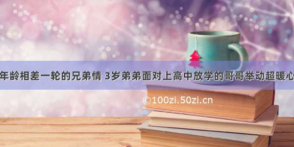 年龄相差一轮的兄弟情 3岁弟弟面对上高中放学的哥哥举动超暖心