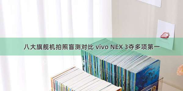 八大旗舰机拍照盲测对比 vivo NEX 3夺多项第一