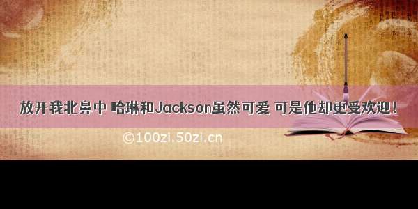 放开我北鼻中 哈琳和Jackson虽然可爱 可是他却更受欢迎！