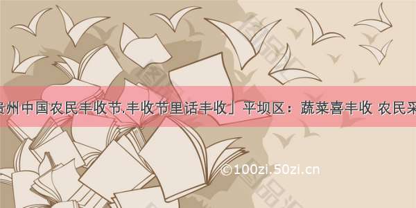 「贵州中国农民丰收节.丰收节里话丰收」平坝区：蔬菜喜丰收 农民采收忙