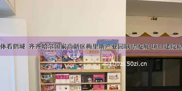 网络媒体看鹤城｜齐齐哈尔国家高新区梅里斯产业园联动发展 项目建设稳步推进