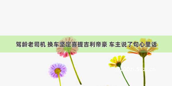 驾龄老司机 换车坚定喜提吉利帝豪 车主说了句心里话