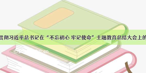 认真学习贯彻习近平总书记在“不忘初心 牢记使命”主题教育总结大会上的重要讲话