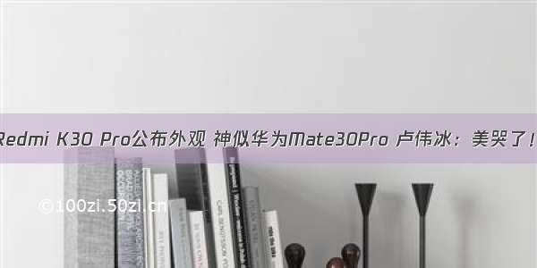 Redmi K30 Pro公布外观 神似华为Mate30Pro 卢伟冰：美哭了！