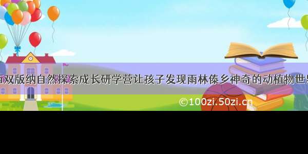 西双版纳自然探索成长研学营让孩子发现雨林傣乡神奇的动植物世界