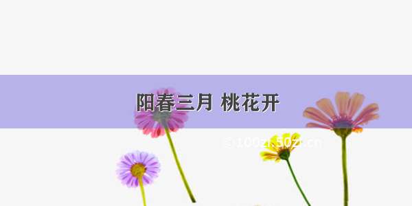 阳春三月 桃花开