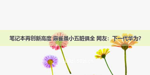 笔记本再创新高度 麻雀虽小五脏俱全 网友：下一代华为？