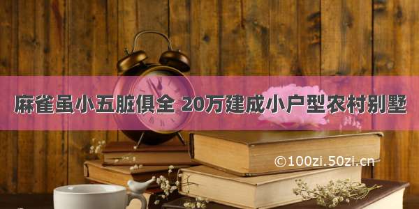 麻雀虽小五脏俱全 20万建成小户型农村别墅