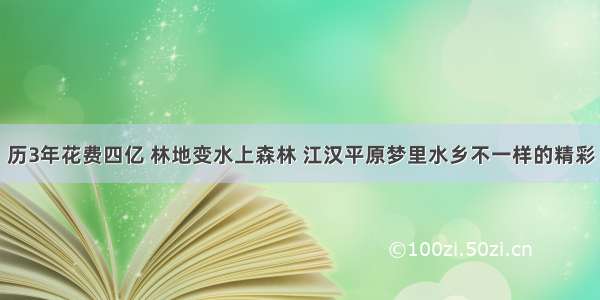 历3年花费四亿 林地变水上森林 江汉平原梦里水乡不一样的精彩