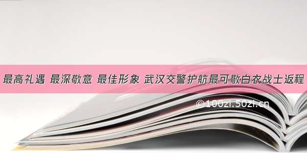 最高礼遇 最深敬意 最佳形象 武汉交警护航最可敬白衣战士返程