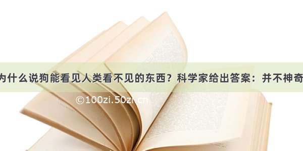 为什么说狗能看见人类看不见的东西？科学家给出答案：并不神奇！